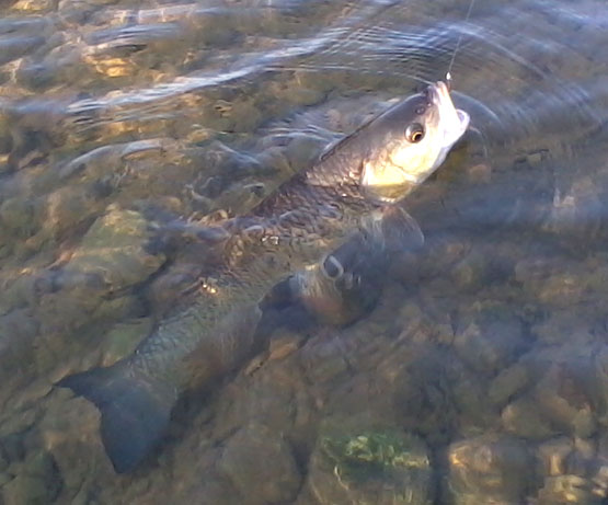 2011-08-22-18.28.49.jpg