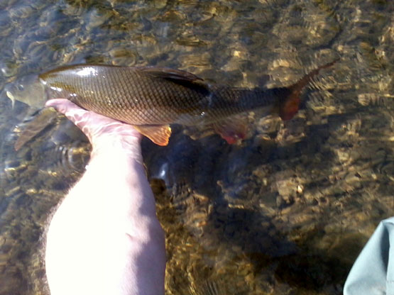 2011-08-22-16.45.24.jpg