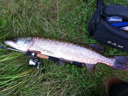 Hecht 92 cm.jpg