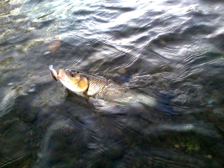 2011-10-14-18.42.57.jpg