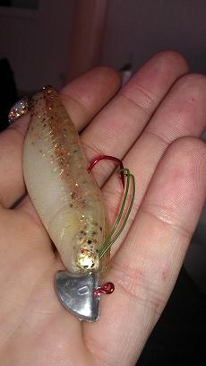 IMAG0394.jpg