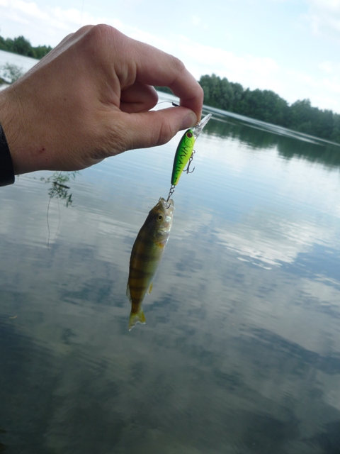 P1040251.JPG