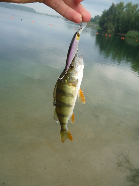 Offlumer See 29.8.2012.JPG