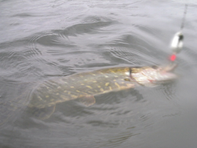 2012-08-31.JPG