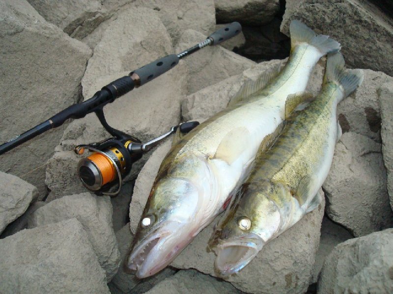 Doppelpack_800x600.JPG